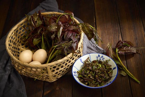 探索东方明珠的多元魅力